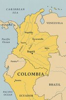 FARC Dissident Leader Calls for "Super‑Guerrilla Alliance" After Trump Orders Maduro Capture