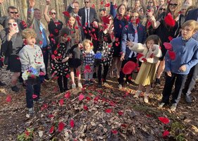 Rewilding death in the Appalachian mountains