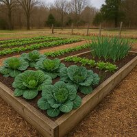Gardening Tasks in Alabama During January